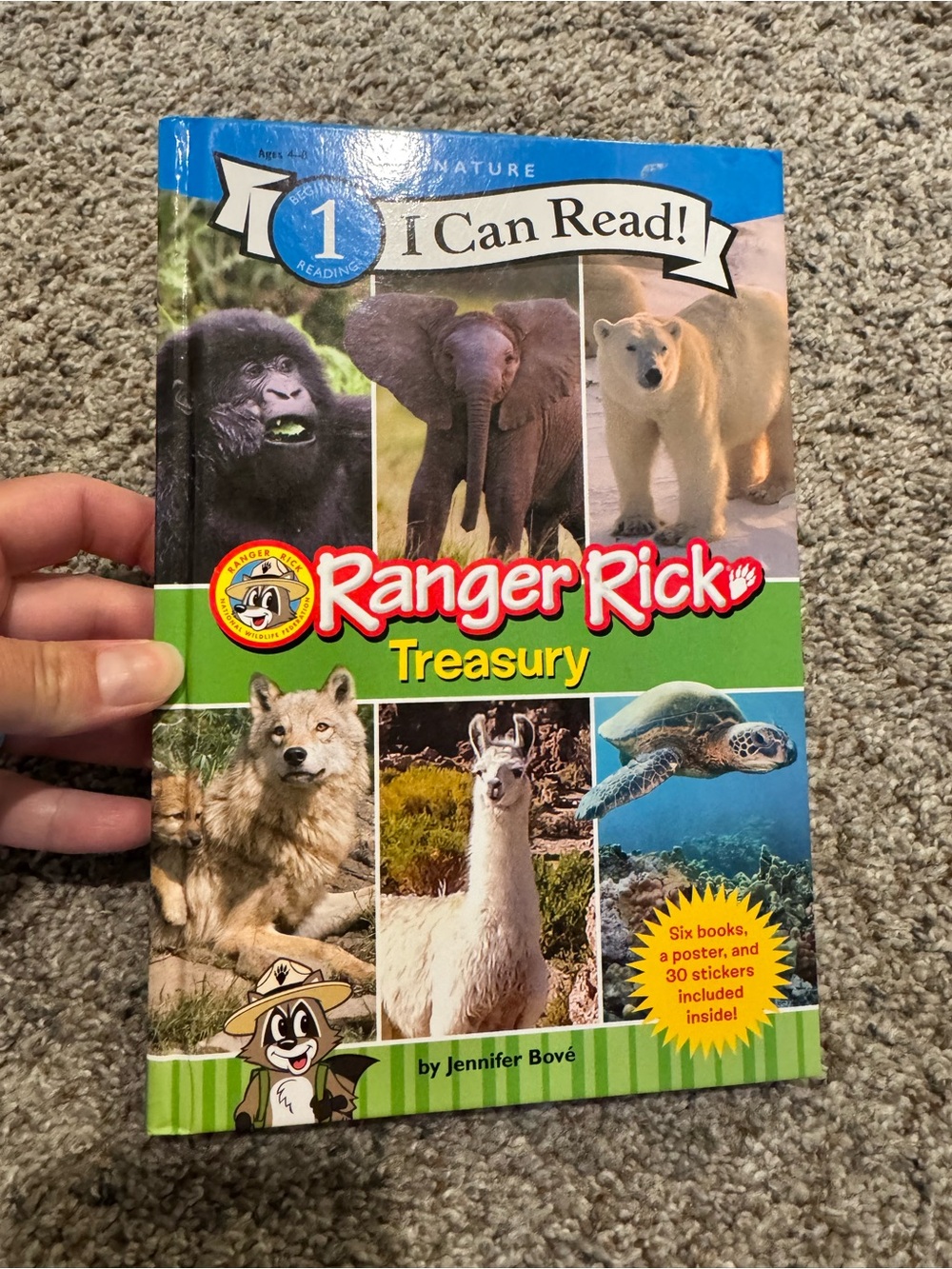 I can read Level 1 Animal Book (6 books in 1) Hard Cover